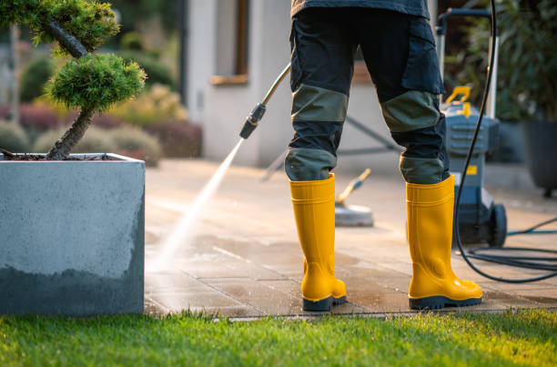 Best Pressure Washing Siding  in Medina, TN